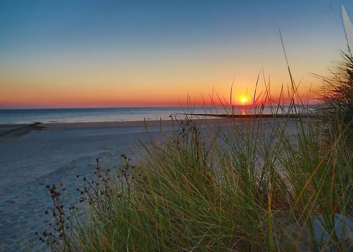 Fewo Moevennest Borkum