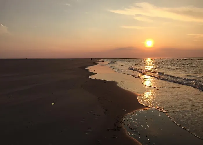 Fewo Moevennest Borkum